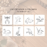 Les Escapades à Colorier